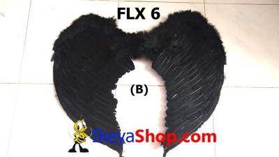 large2 FLX 6b